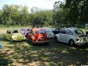 2003. Orf� by bogarak