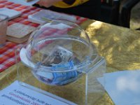 72971555 953351405044211 5920207599688482816 n