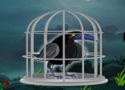 Dark fantasy crow escape - escape game