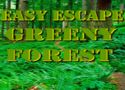 Easy escape greeny forest - kijutós játék