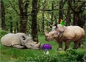 Escape from rhino forest - szabaduló játék