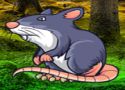 Giant rat fantasy escape - szabaduló játék