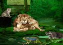 Wild animals forest escape - szabaduló játék